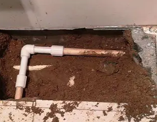 肃北测漏水哪家好