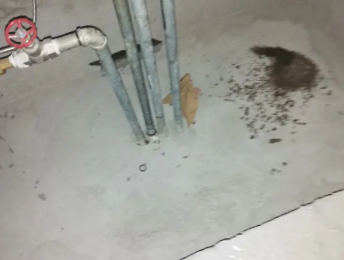 肃北卫生间测漏水价格明细