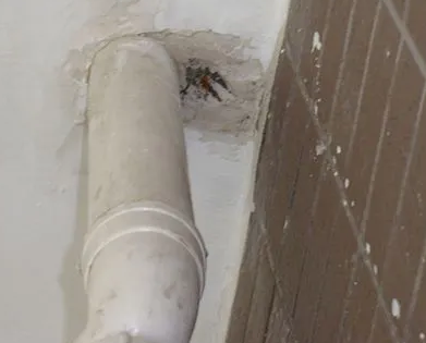 肃北漏水检测哪家好